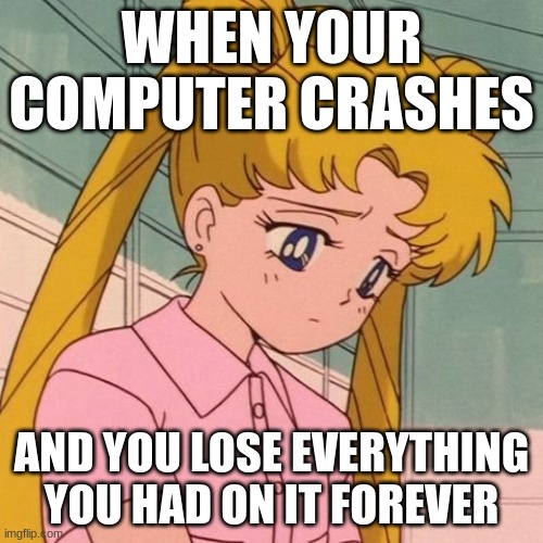 It's a sad day when you lost everything you had on computer because it crashed | WHEN YOUR COMPUTER CRASHES; AND YOU LOSE EVERYTHING YOU HAD ON IT FOREVER | image tagged in sailor moon,sadness,depression,computers,microsoft,windows | made w/ Imgflip meme maker