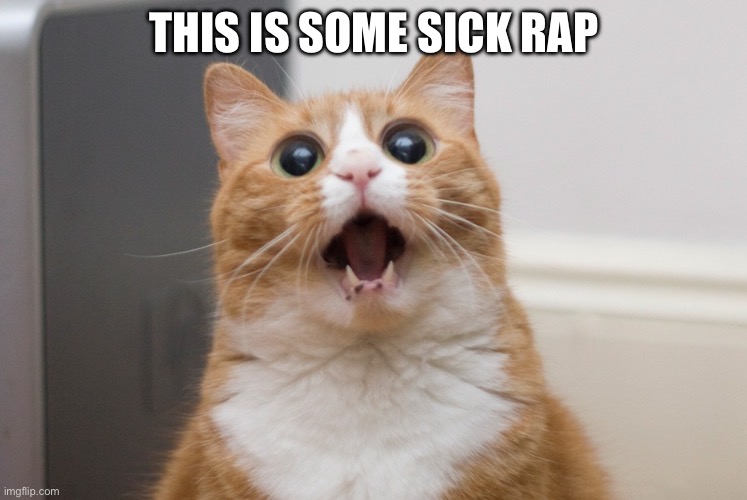 Amazed cat | THIS IS SOME SICK RAP | image tagged in amazed cat | made w/ Imgflip meme maker