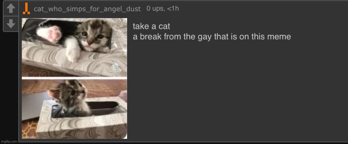 take a cat | image tagged in take a cat | made w/ Imgflip meme maker