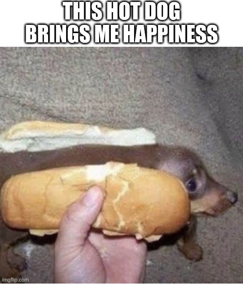 a very cute hot dog | THIS HOT DOG BRINGS ME HAPPINESS | image tagged in hot dog,cute,puppy,happiness,world peace | made w/ Imgflip meme maker