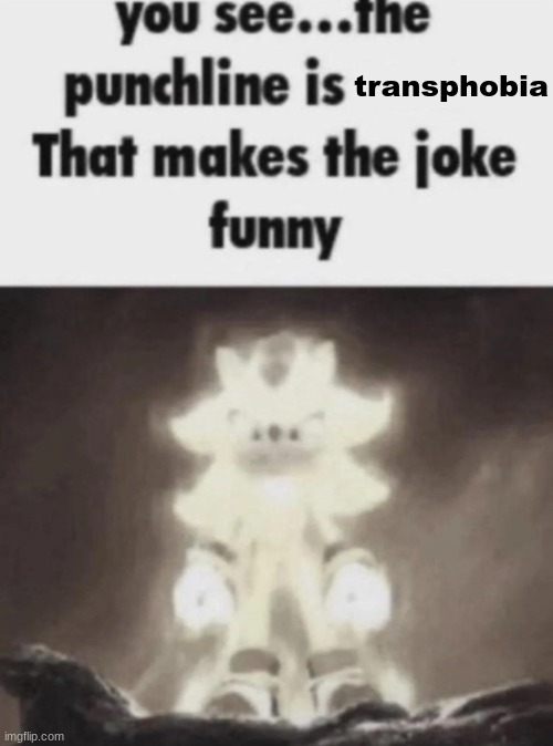 You see the punchline is that makes the joke funny shadow | transphobia | image tagged in you see the punchline is that makes the joke funny shadow | made w/ Imgflip meme maker