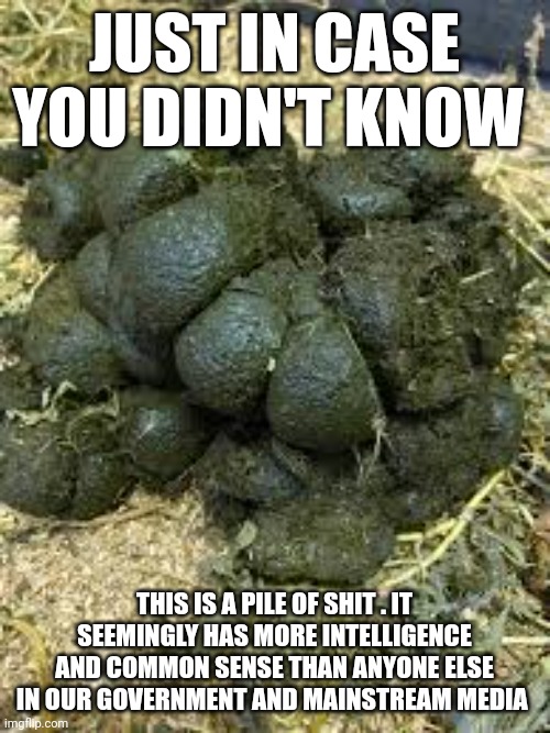 pile of shit meme | JUST IN CASE YOU DIDN'T KNOW; THIS IS A PILE OF SHIT . IT SEEMINGLY HAS MORE INTELLIGENCE AND COMMON SENSE THAN ANYONE ELSE IN OUR GOVERNMENT AND MAINSTREAM MEDIA | image tagged in mainstream media | made w/ Imgflip meme maker