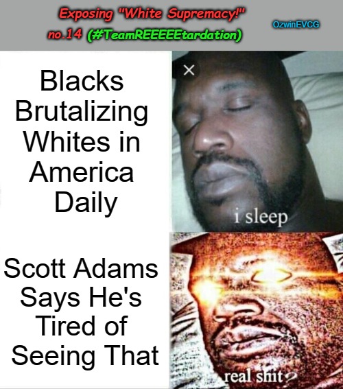 Exposing "White Supremacy!" no.14 (#TeamREEEEEtardation) | Exposing "White Supremacy!"; OzwinEVCG; no.14; (#TeamREEEEEtardation); Blacks 

Brutalizing 

Whites in 

America 

Daily; Scott Adams 

Says He's 

Tired of 

Seeing That | image tagged in liberal logic,antiwhite,sleeping shaq,reeeee,dilbert,black-on-white crime | made w/ Imgflip meme maker