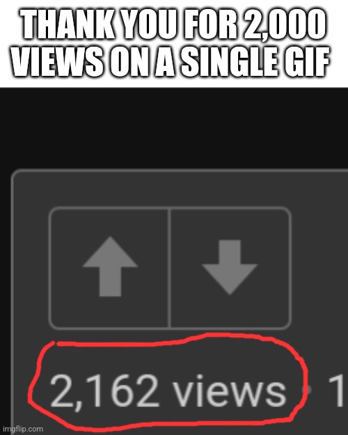 Thank you!? | THANK YOU FOR 2,000 VIEWS ON A SINGLE GIF | image tagged in thank you,noice | made w/ Imgflip meme maker