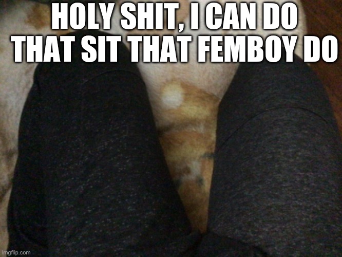 My legs a bit num but it’s oki also last thigh reveal | HOLY SHIT, I CAN DO THAT SIT THAT FEMBOY DO | made w/ Imgflip meme maker