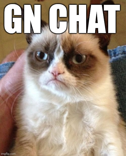 Grumpy Cat | GN CHAT | image tagged in memes,grumpy cat | made w/ Imgflip meme maker