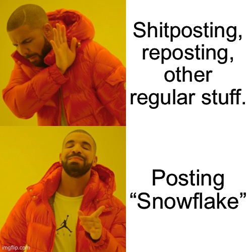 @Foxy_501 be like: | Shitposting, reposting, other regular stuff. Posting “Snowflake” | image tagged in memes,drake hotline bling | made w/ Imgflip meme maker