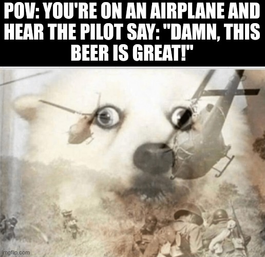 im getting off that plane | POV: YOU'RE ON AN AIRPLANE AND
HEAR THE PILOT SAY: "DAMN, THIS
BEER IS GREAT!" | image tagged in ptsd dog,airplane,relatable,funny,dogs | made w/ Imgflip meme maker