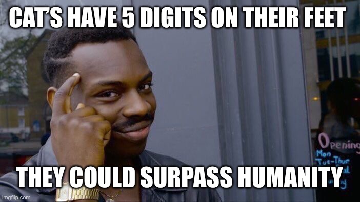 Roll Safe Think About It | CAT’S HAVE 5 DIGITS ON THEIR FEET; THEY COULD SURPASS HUMANITY | image tagged in memes,roll safe think about it | made w/ Imgflip meme maker