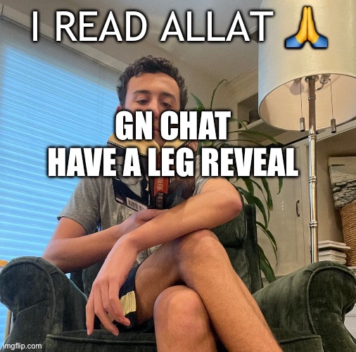 I read all that | GN CHAT
HAVE A LEG REVEAL | image tagged in i read all that | made w/ Imgflip meme maker