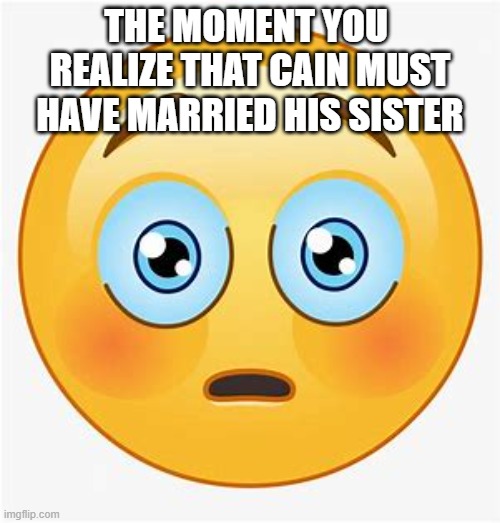 The Moment You Realized it... | THE MOMENT YOU 
REALIZE THAT CAIN MUST
HAVE MARRIED HIS SISTER | image tagged in bible,funny memes | made w/ Imgflip meme maker