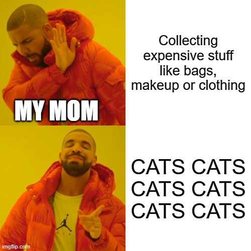 Just got a new cat :3 | Collecting expensive stuff like bags, makeup or clothing; MY MOM; CATS CATS CATS CATS CATS CATS | image tagged in memes,drake hotline bling | made w/ Imgflip meme maker