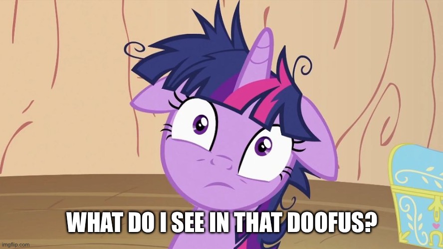 Messy Twilight Sparkle | WHAT DO I SEE IN THAT DOOFUS? | image tagged in messy twilight sparkle | made w/ Imgflip meme maker