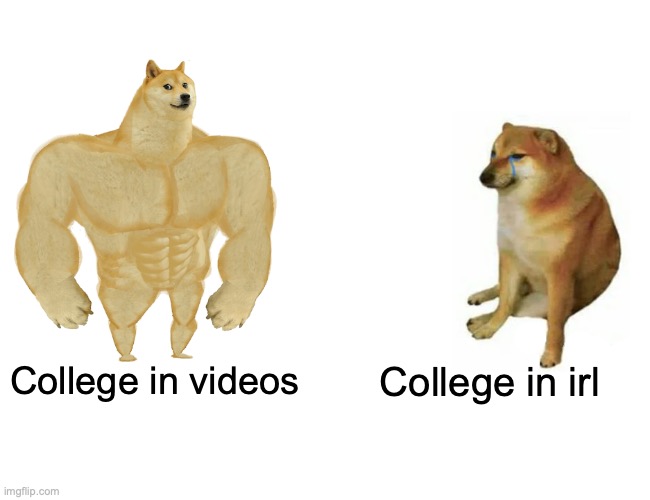 College memes | College in videos; College in irl | image tagged in memes,buff doge vs cheems | made w/ Imgflip meme maker