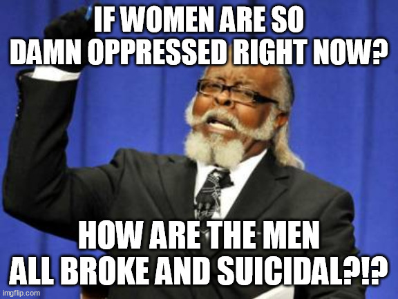 Who's oppressing the oppressing women? | IF WOMEN ARE SO DAMN OPPRESSED RIGHT NOW? HOW ARE THE MEN ALL BROKE AND SUICIDAL?!? | image tagged in memes,too damn high,women,broke man,suicide,libtarded | made w/ Imgflip meme maker