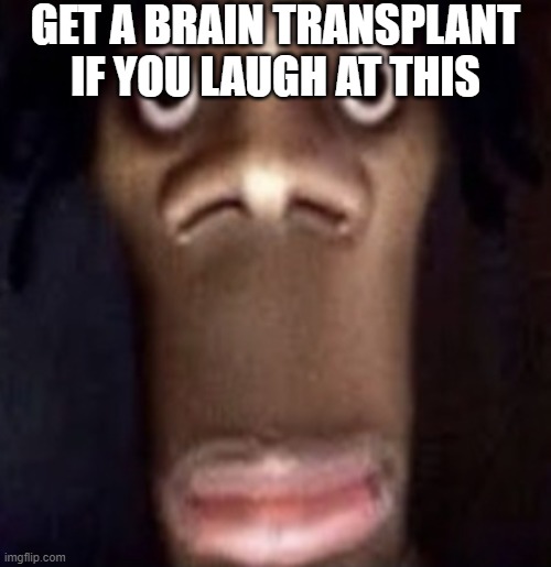 idk why i did this to myself | GET A BRAIN TRANSPLANT IF YOU LAUGH AT THIS | image tagged in quandale dingle | made w/ Imgflip meme maker