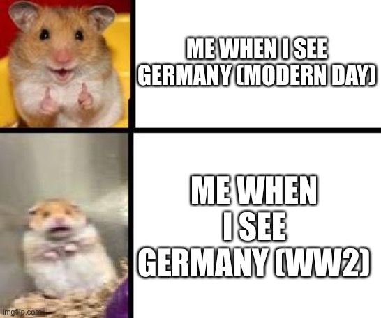 (Mod note: oh) | ME WHEN I SEE GERMANY (MODERN DAY); ME WHEN I SEE GERMANY (WW2) | image tagged in hamster happy and hamster scary,germany | made w/ Imgflip meme maker