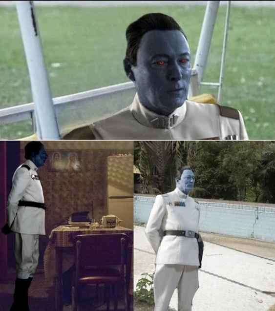 High Quality Sad Thrawn Blank Meme Template