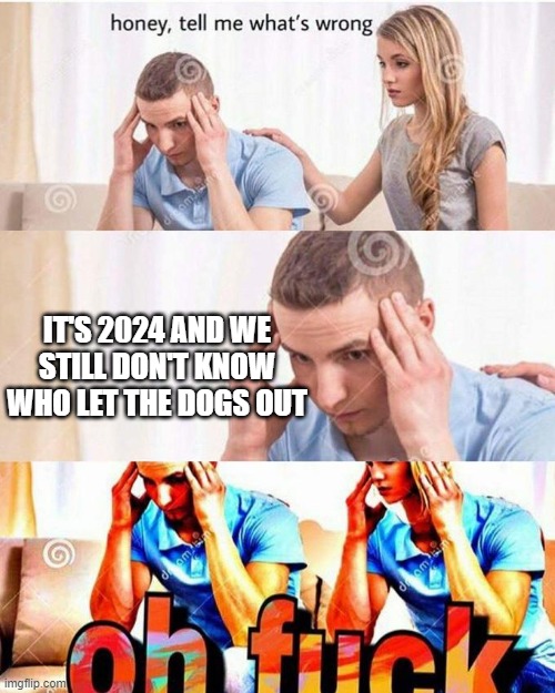WHO LET THE DOGS OUT | IT'S 2024 AND WE STILL DON'T KNOW WHO LET THE DOGS OUT | image tagged in honey tell me what's wrong,who let the dogs out,memes | made w/ Imgflip meme maker