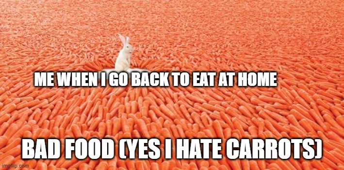 I saw this stream dead, try to revive it... | ME WHEN I GO BACK TO EAT AT HOME; BAD FOOD (YES I HATE CARROTS) | image tagged in carrots | made w/ Imgflip meme maker