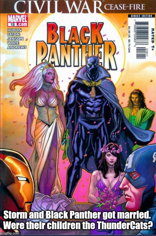 Storm Married Black Panther | Storm and Black Panther got married. 

Were their children the ThunderCats? | image tagged in marvel comics,storm,black panther,comics,marriage,marvel | made w/ Imgflip meme maker