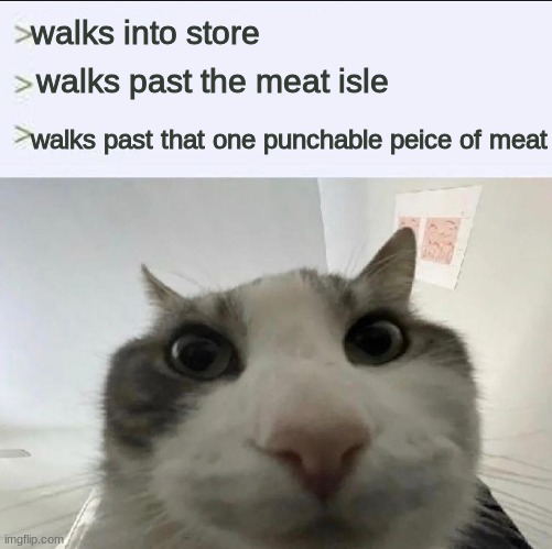 Cat looks inside | walks into store; walks past the meat isle; walks past that one punchable peice of meat | image tagged in cat looks inside | made w/ Imgflip meme maker