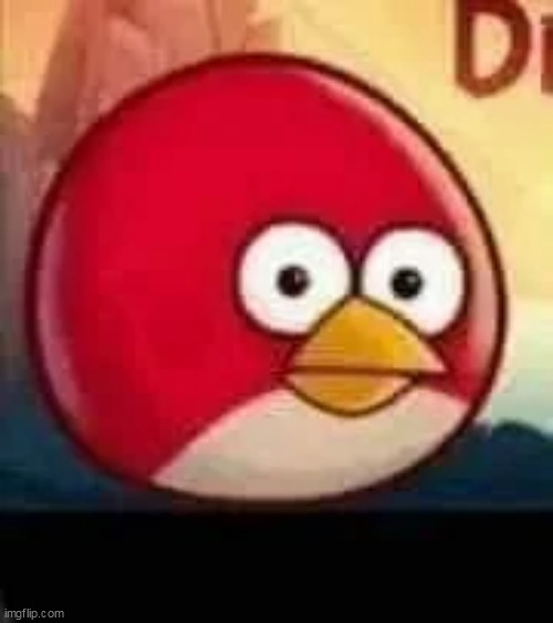 redn't | image tagged in scared bird | made w/ Imgflip meme maker