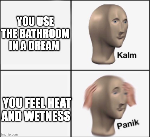 kalm panik | YOU USE THE BATHROOM IN A DREAM; YOU FEEL HEAT AND WETNESS | image tagged in kalm panik | made w/ Imgflip meme maker