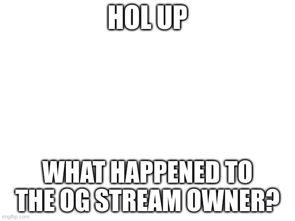 an answer would help | HOL UP; WHAT HAPPENED TO THE OG STREAM OWNER? | made w/ Imgflip meme maker