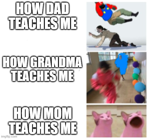 how people _____ | HOW DAD TEACHES ME; HOW GRANDMA TEACHES ME; HOW MOM TEACHES ME | image tagged in how people _____ | made w/ Imgflip meme maker