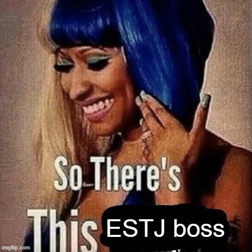 ESTJ | ESTJ boss | image tagged in nicki minaj so there s this | made w/ Imgflip meme maker