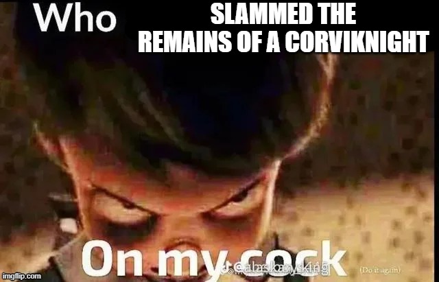 Who dropped a brick | SLAMMED THE REMAINS OF A CORVIKNIGHT | image tagged in who dropped a brick | made w/ Imgflip meme maker
