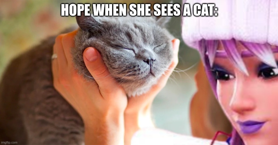 My sister when she sees a cat: | HOPE WHEN SHE SEES A CAT: | image tagged in fortnite,cats | made w/ Imgflip meme maker