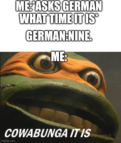 I put too many tags on this meme | ME:*ASKS GERMAN WHAT TIME IT IS*; GERMAN:NINE. ME: | image tagged in cowabunga it is,german,time,germany,funny memes,funny | made w/ Imgflip meme maker