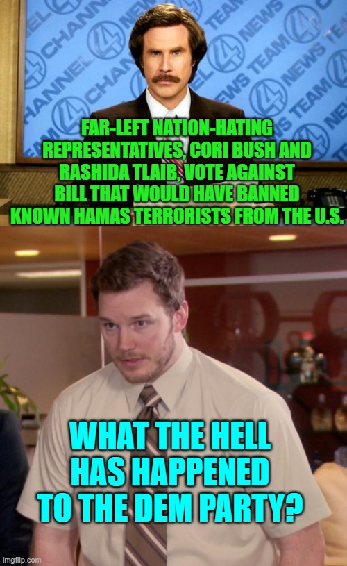 Cultural Marxism.  'nuff said. | FAR-LEFT NATION-HATING REPRESENTATIVES, CORI BUSH AND RASHIDA TLAIB, VOTE AGAINST BILL THAT WOULD HAVE BANNED KNOWN HAMAS TERRORISTS FROM THE U.S. WHAT THE HELL HAS HAPPENED TO THE DEM PARTY? | image tagged in yep | made w/ Imgflip meme maker