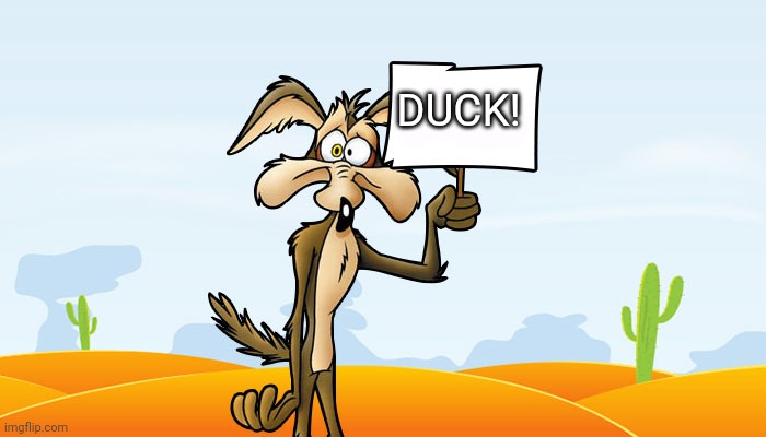 Wile E. Coyote Sign | DUCK! | image tagged in wile e coyote sign | made w/ Imgflip meme maker