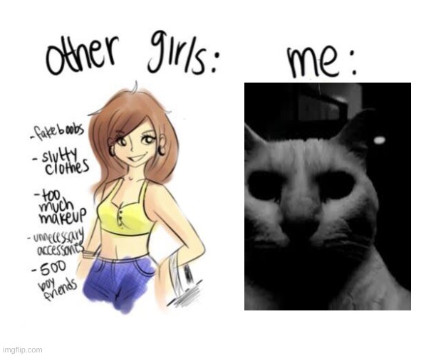 Not Like Other Girls | image tagged in not like other girls | made w/ Imgflip meme maker