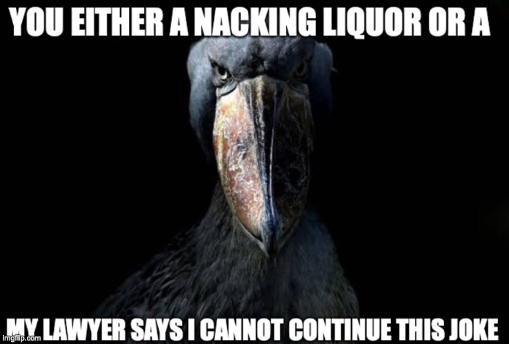 i must post this | image tagged in you either a nacking liquor or a my lawyer says | made w/ Imgflip meme maker