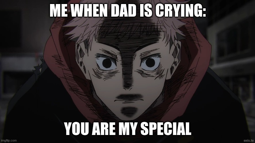 YUJI dad crying meme | ME WHEN DAD IS CRYING:; YOU ARE MY SPECIAL | image tagged in memes | made w/ Imgflip meme maker