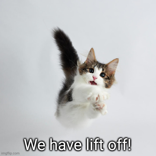 Kitten lift off! | We have lift off! | image tagged in kitten lift off | made w/ Imgflip meme maker