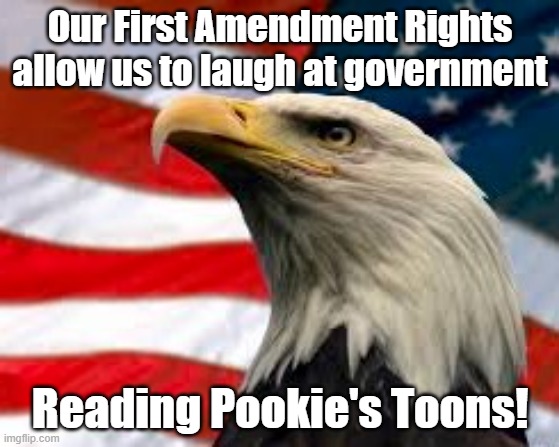 Murica Patriotic Eagle | Our First Amendment Rights allow us to laugh at government; Reading Pookie's Toons! | image tagged in murica patriotic eagle | made w/ Imgflip meme maker