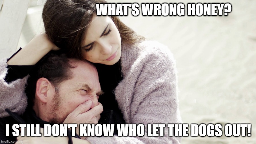 Crying White Guy | WHAT'S WRONG HONEY? I STILL DON'T KNOW WHO LET THE DOGS OUT! | image tagged in crying white guy | made w/ Imgflip meme maker