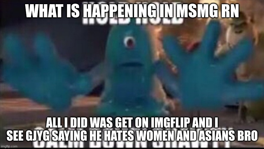 Am very concerned | WHAT IS HAPPENING IN MSMG RN; ALL I DID WAS GET ON IMGFLIP AND I SEE GJYG SAYING HE HATES WOMEN AND ASIANS BRO | image tagged in calm down shawty | made w/ Imgflip meme maker