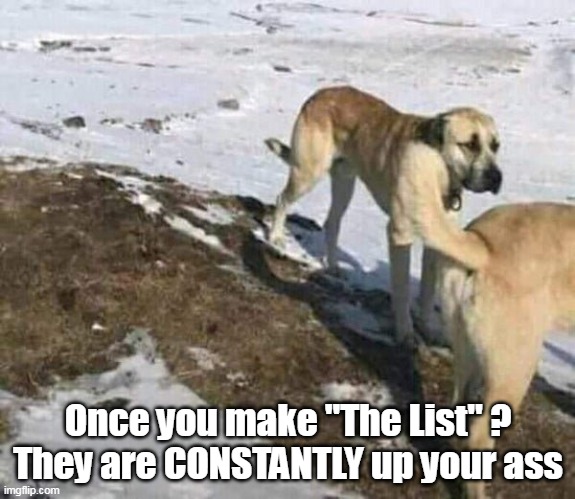 Once you make "The List" ?
They are CONSTANTLY up your ass | made w/ Imgflip meme maker
