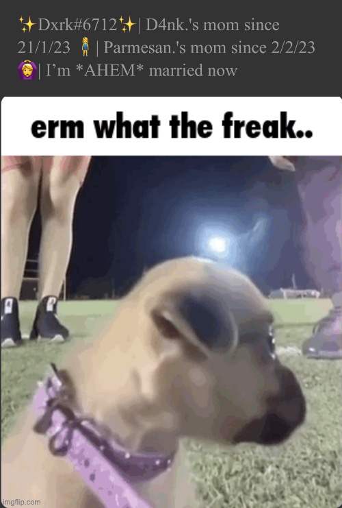 image tagged in erm what the freak dog | made w/ Imgflip meme maker