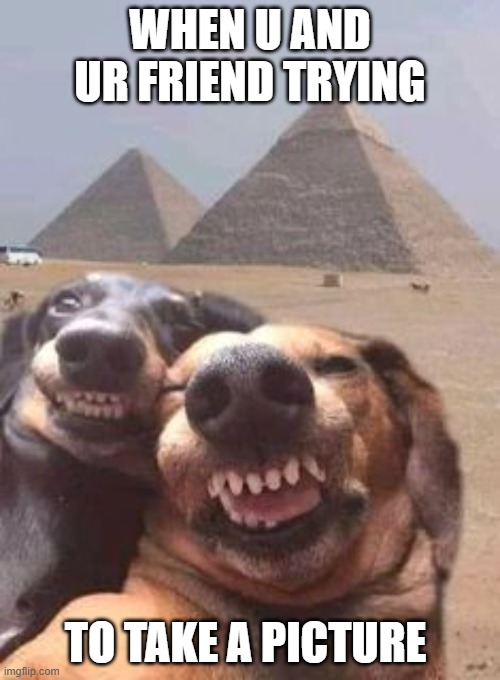 best friends trying to take pic | WHEN U AND UR FRIEND TRYING; TO TAKE A PICTURE | image tagged in best friends trying to take pic | made w/ Imgflip meme maker