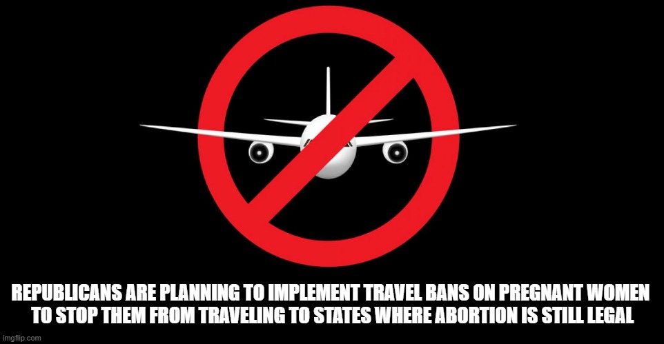 Women, fight back! Republicans want you at home, barefoot in the kitchen, and pregnant! | REPUBLICANS ARE PLANNING TO IMPLEMENT TRAVEL BANS ON PREGNANT WOMEN 
TO STOP THEM FROM TRAVELING TO STATES WHERE ABORTION IS STILL LEGAL | image tagged in pregnant woman,travel ban,abortion | made w/ Imgflip meme maker