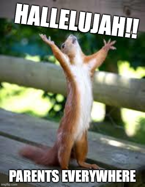 HALLELUJAH!! PARENTS EVERYWHERE | image tagged in praise squirrel,hallelujah,happy parents,parents,celebration | made w/ Imgflip meme maker