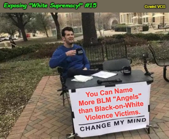 Exposing "White Supremacy!" #15 | Exposing "White Supremacy!" #15; OzwinEVCG; You Can Name 

More BLM "Angels" 

than Black-on-White 

Violence Victims. | image tagged in antiwhite media,change my mind,antiwhite attacks,black lives matter,hush crimes,war on whites | made w/ Imgflip meme maker