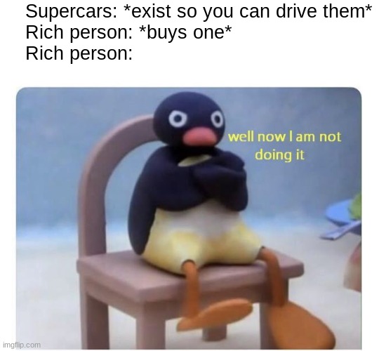 WHY BUY A CAR THAT YOU WILL NEVER DRIVE | Supercars: *exist so you can drive them*
Rich person: *buys one*
Rich person: | image tagged in well now i am not doing it,rich people,stupid people,cars,drivers | made w/ Imgflip meme maker